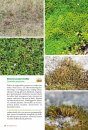 Basisgids Mossen [Basic Guide to Mosses]