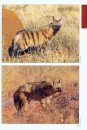 The Mammal Guide of Southern Africa (Book Only)