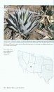 Agaves, Yuccas, and Their Kin