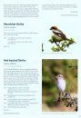 Hampshire Bird Atlas 2007-2012