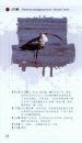 Atlas of Birds in Dongzhaigang, Hainan [Chinese]