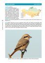 The New Birds of Kazakhstan