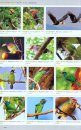 A Photographic Guide to the Birds of China [Chinese]