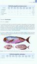 Ictiofauna Marina: Manual de Identificación de los Peces Marinos de la Península Ibérica y Baleares [Marine Ichthyofauna: Identification Guide to the Marine Fish of the Iberian Peninsula and the Balearics]