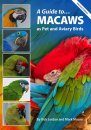 A Guide to Macaws as Pet and Aviary Birds