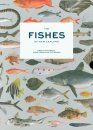 The Fishes of New Zealand: A Comprehensive Guide (4-Volume Set)