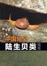 Illustrated Handbook of Common Terrestrial Mollusks in China [Chinese]