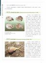 Illustrated Handbook of Common Terrestrial Mollusks in China [Chinese]