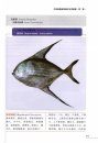 Marine Fishes of Southern Fujian, China, Volume 1 [Chinese]