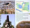 A Guide to Finding Birds in Odessa Region, Ukraine
