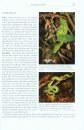 Natural History of Neotropical Treeboas (Genus Corallus)
