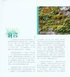 The Miniature Angels in the Plant Kingdom: An Introduction to Bryophytes [English / Chinese]