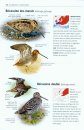 Tous les Oiseaux d'Europe [Birds of Europe, North Africa, and the Middle East]