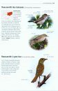 Tous les Oiseaux d'Europe [Birds of Europe, North Africa, and the Middle East]