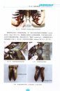 Biology of Horseshoe Crabs Tachypleus tridentatus [Chinese]