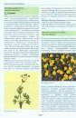 Flora of the Northern Caucasus: An Atlas and Identification Book [Russian]