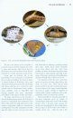 The Complete Field Guide to Butterflies of Australia