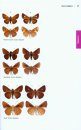 The Complete Field Guide to Butterflies of Australia