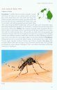 A Guide to Mosquitoes of Australia