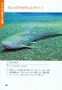 Same Zukan [Shark Picture Book]