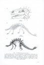 Palaeovertebrata Sinica, Volume 2: Amphibians, Reptilians and Avians, Fascicle 5 (Serial no.9): Ornithischian Dinosaurs [Chinese]