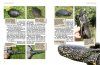 Europäische Sumpfschildkröten: Lebensweise, Haltung, Nachzucht [European Pond Turtles: Biology, Keeping, Breeding]