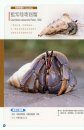 Warrior: The Seashore Crabs of Dongsha Island [Chinese]