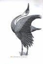 A Chorus of Cranes