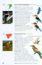 SASOL 300 Easy-to-See Birds in Southern Africa