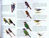 A Selection of the Birds of Sri Lanka