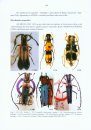 Cerambycidae Sul-Americanos (Coleoptera), Taxonomia, Volume 13: Lamiinae: Hemilophini, Parte 1