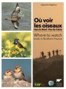 Where to Watch Birds in Northern France / Où Voir les Oiseaux dans le Nord–Pas-de-Calais