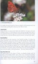 Green Guide to Butterflies of Britain and Europe