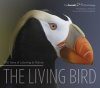 The Living Bird