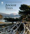 Ancient Trees of the National Trust