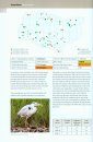 Kent Breeding Bird Atlas 2008-13