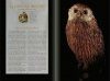 Bestiaire Disparu: Histoire de la Dernière Grande Extinction [The Lost Bestiary: The History of the Last Great Extinction]