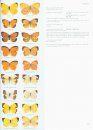 Butterflies of the Neotropical Region, Part 1