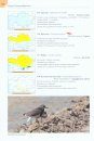 A Field Guide to the Birds of Kazakhstan [Russian]