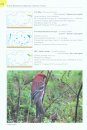 A Field Guide to the Birds of Kazakhstan [Russian]