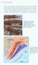 Roadside Geology of Alaska