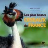 Les Plus Beaux Oiseaux de France [The Most Beautiful Birds of France]