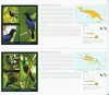 Oiseaux de Paradis: Les Oiseaux les Plus Extraordinaires du Monde [Birds of Paradise: Revealing the World's Most Extraordinary Birds]
