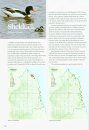 Northumbria Bird Atlas