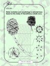 Stelar Evolution and Morphology in Selected Taxa Based on the Study of Vascullotaxy (studio nov.)