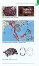 Freshwater Turtles & Tortoises of South Asia