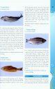 Fish Atlas of Chilika
