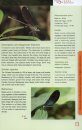 A Field Guide to the Dragonflies of Hainan [English / Chinese]