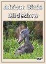 African Birds Slideshow - DVD (All Regions)