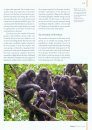 Industrial Agriculture and Ape Conservation